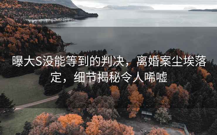 曝大S没能等到的判决，离婚案尘埃落定，细节揭秘令人唏嘘