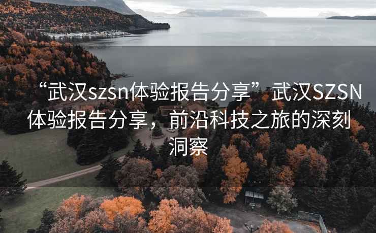 “武汉szsn体验报告分享”武汉SZSN体验报告分享，前沿科技之旅的深刻洞察