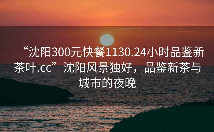 “沈阳300元快餐1130.24小时品鉴新茶叶.cc”沈阳风景独好，品鉴新茶与城市的夜晚