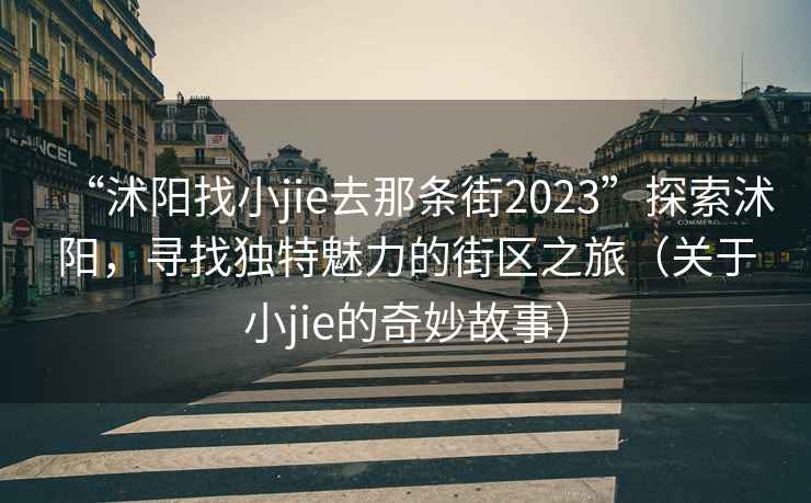 “沭阳找小jie去那条街2023”探索沭阳，寻找独特魅力的街区之旅（关于小jie的奇妙故事）