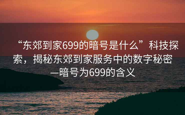 “东郊到家699的暗号是什么”科技探索，揭秘东郊到家服务中的数字秘密—暗号为699的含义